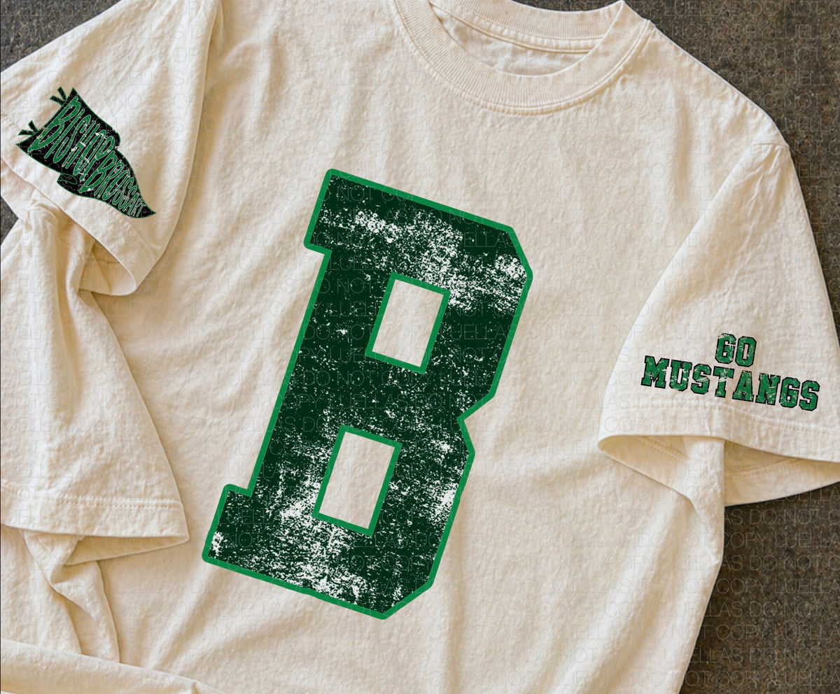 Brossart Varsity Letter with Sleeves