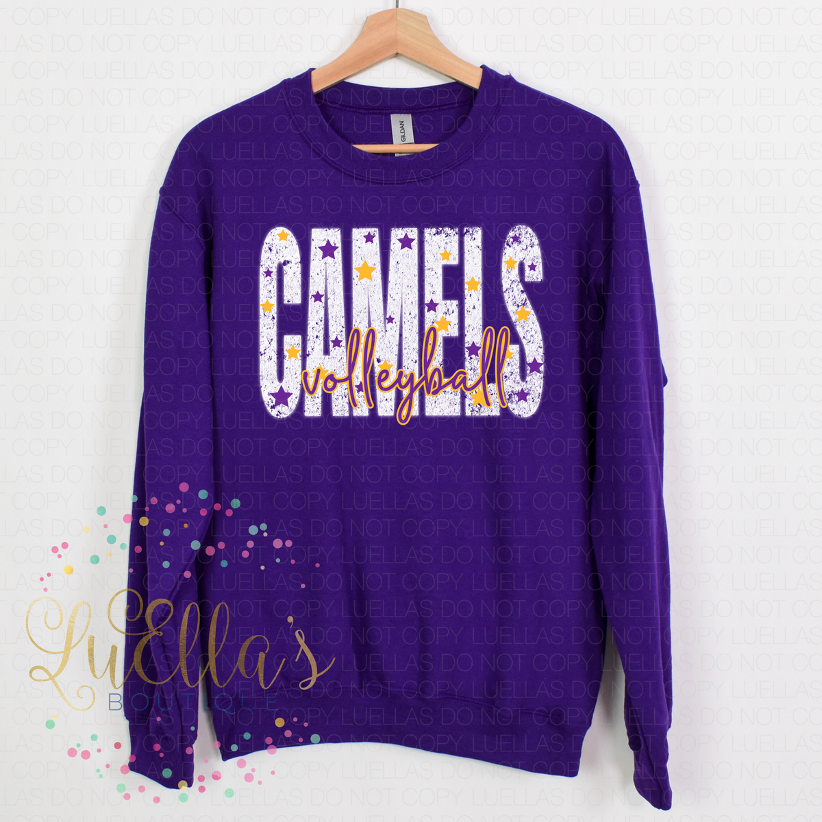 CC Volleyball Design 5