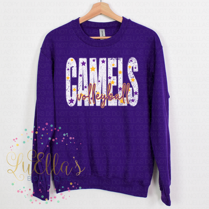 CC Volleyball Design 5