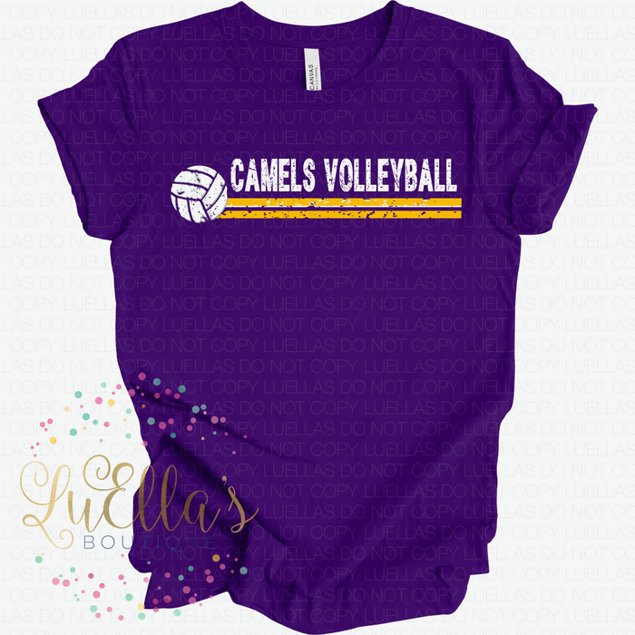 CC Volleyball Design 9