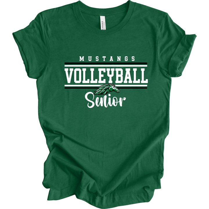 Volleyball Senior Design 2