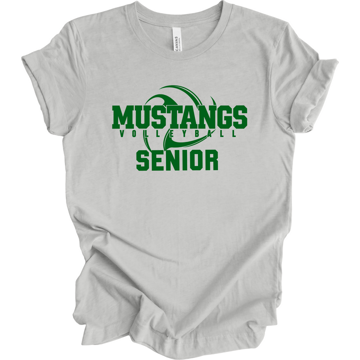 Volleyball Senior Design 1