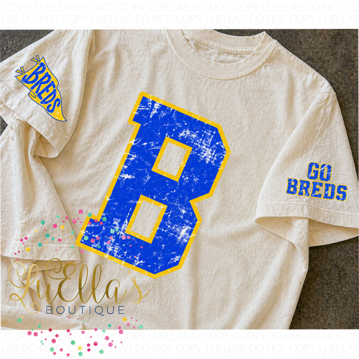 Saints Varsity Letter with Sleeves