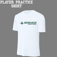 PLAYER PRACTICE SHIRT