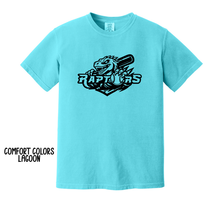 Raptors Design 2
