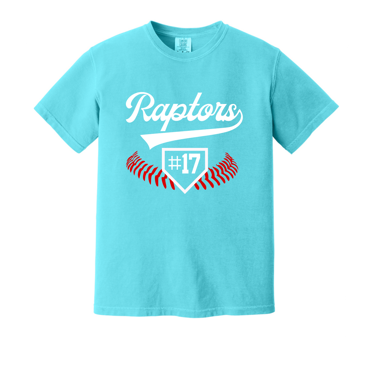 Raptors Home Plate Design
