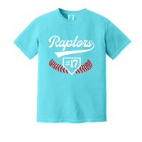 Raptors Home Plate Design