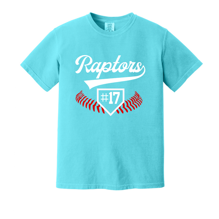 Raptors Home Plate Design