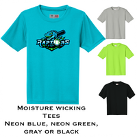 Raptors Design 3