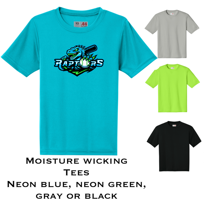 Raptors Design 3