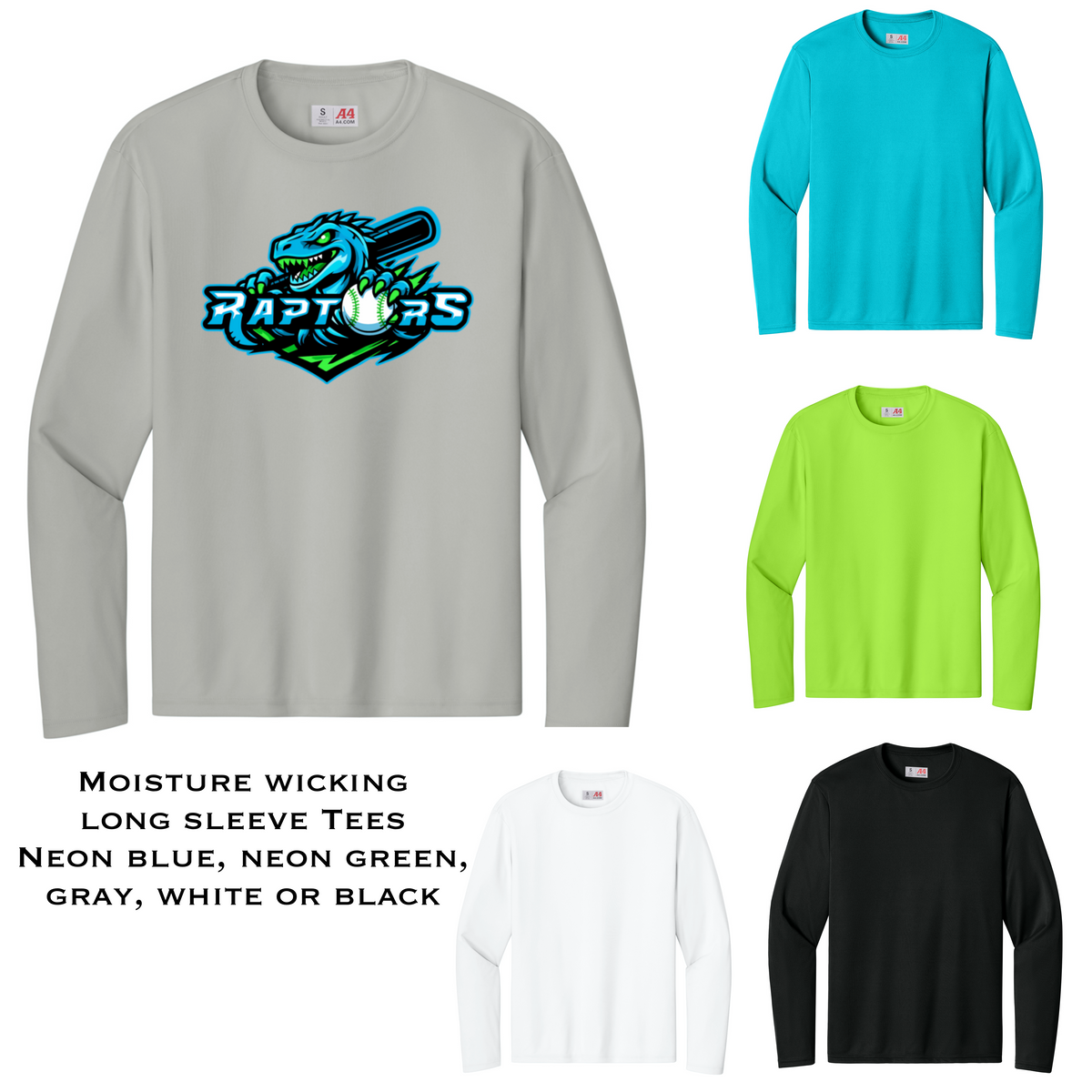 Raptors Design 3